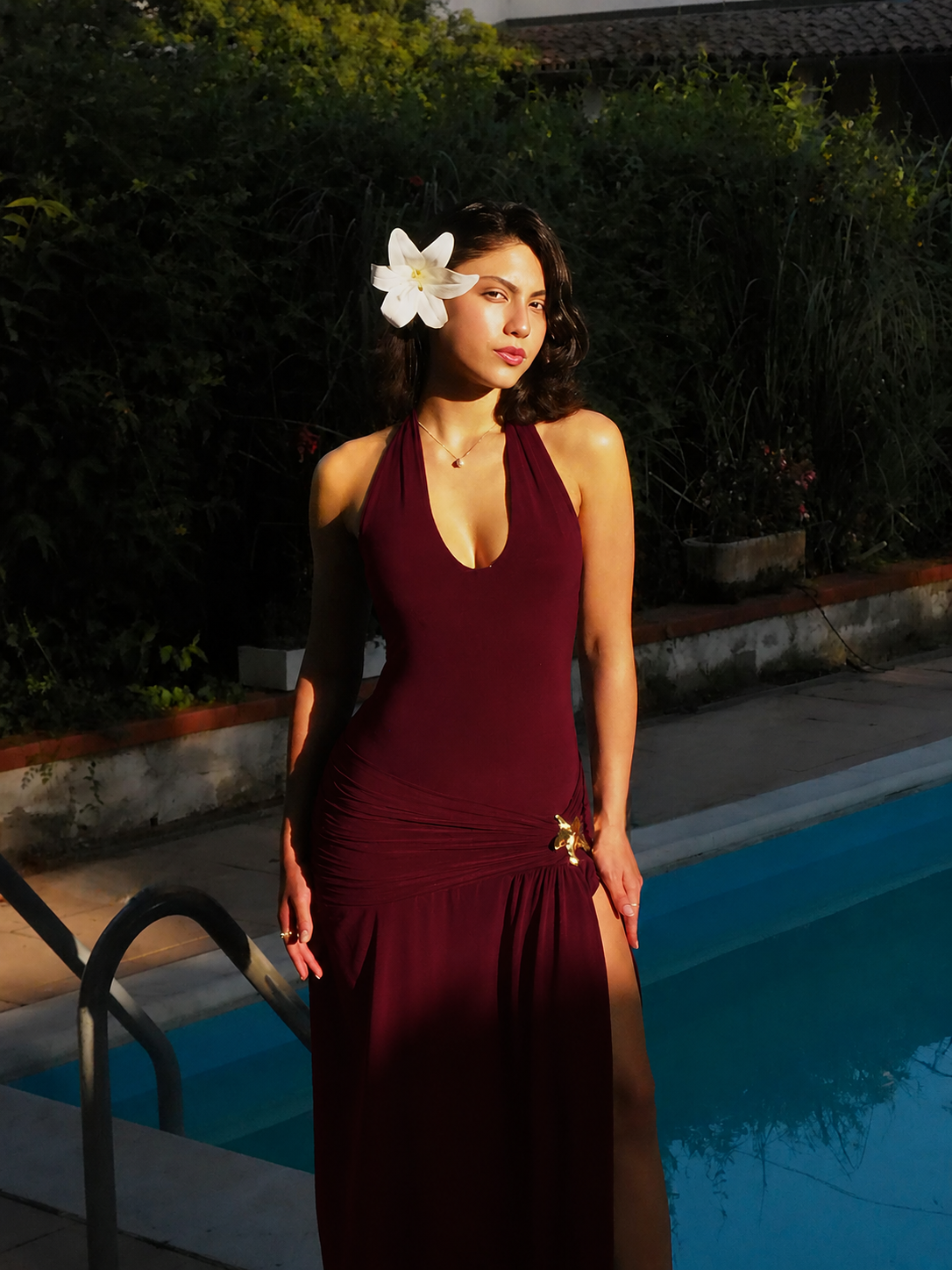 Solea